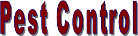 Pest Control